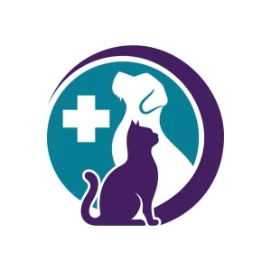 Akita puppy Health Guarantee