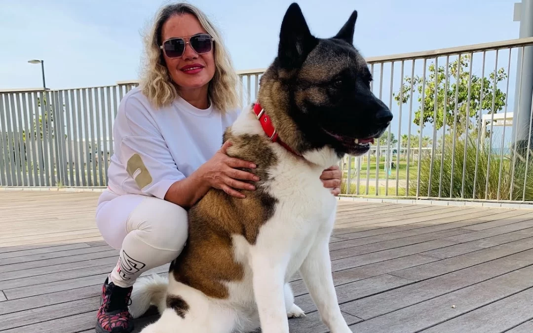 TIPS ON How to Train an Akita Puppy
