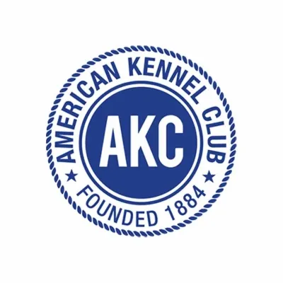 Akita Puppies for Sale