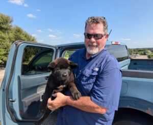Akita Delivery. to Texas